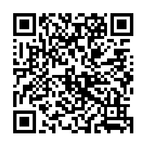 只是从这些材料上就能够看出廖不凡炼制的这颗仙丹的珍贵二维码生成