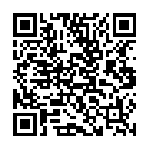 只是他们不知道许紫烟要这么多的混沌兽尸体干什么二维码生成