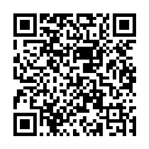 只是他们之所以能够避开大群的混沌兽和域外天魔二维码生成