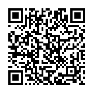 只是他此前为了对付那墨族伪王主祭出过一根舍魂刺二维码生成