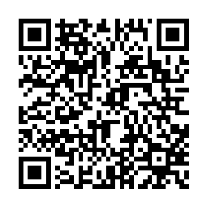 只是他突然注意到蛋蛋这一路上的脸上都怪怪的二维码生成