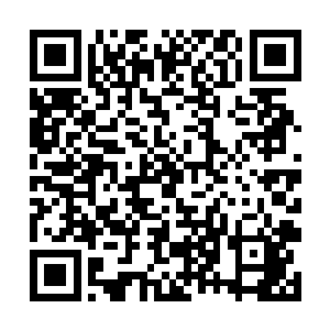 只是他身边的官吏都向上官跪下了凸显他站着了而已二维码生成