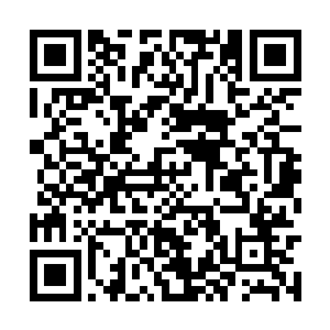 只是他那寒光闪烁的一刀却是彻底震慑了金银二老二维码生成