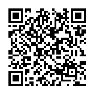 只是以前安定的河岛变成了现在这般明面上的和平二维码生成