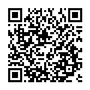 只是伊丽廷少爷叮嘱她说穿着丝袜更有诱惑力而已二维码生成