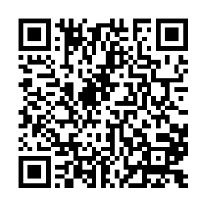 只是你确定萧天熠把藏宝图所有的秘密都告诉你了二维码生成