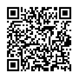 只是借助着敖飞华的力量压制住的邪恶力量直接就吞噬掉了~二维码生成