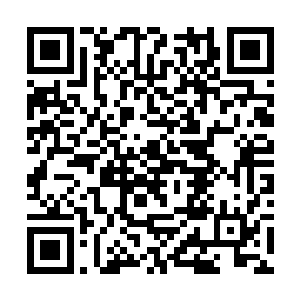 只是偶尔一起回浩天栋找毕老解答一些武学上的困惑二维码生成
