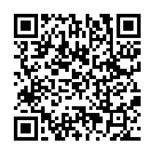 只是偶尔眼镜里的目光能闪过一丝不易察觉的狡诈二维码生成