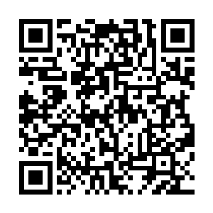 只是偶然的为赵轻落将遗失或者没有杀犯贱的尸体给处理了二维码生成