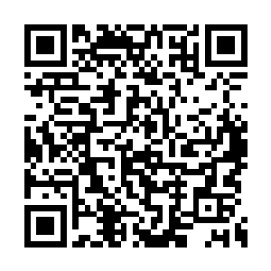 只是偷偷从箱子里拿了两小瓶酒藏在衣服里离开二维码生成