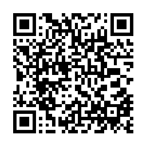 只是像一位平常百姓家中的女子那样照顾着自己的五个孩子二维码生成