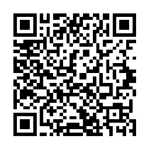 只是其中一只蚊子的个头较之其它几只蚊子相比偏大一些二维码生成