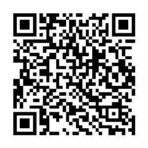 只是几个冲锋就将血河之主召唤出来的血妖杀了个丢盔弃甲二维码生成