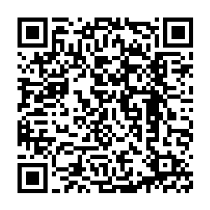只是凭着音功和仙诀就分别战胜了圣级四层的石族和祝融族两个修士二维码生成