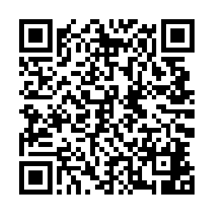 只是前不久圣域绝学晋升神品绝学那场声势实在是太惊人了二维码生成