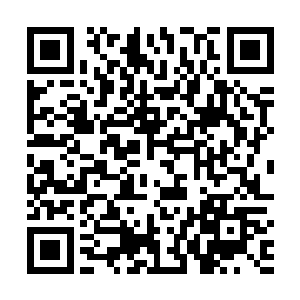 只是前世的时候龙傲天并没有见过超越圣器级别的法宝二维码生成