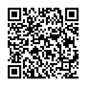 只是前段时间总部对所有的钻石客户进行了清理二维码生成