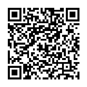 只是前辈真要确定是大乘期修士才驱使的了的宝物二维码生成