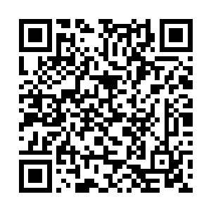 只是劈开了这头食灵兽背部那些坚硬凸起的一小部分二维码生成