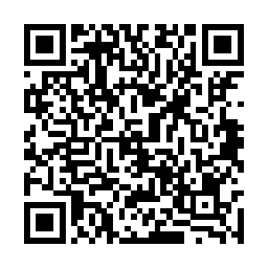 只是半小时后权侑莉再次恢复到了原来明朗的模样二维码生成