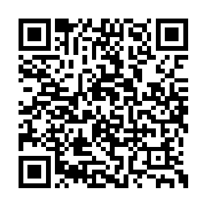 只是单纯感觉到抱住他的萧黎身体突然僵硬下来二维码生成