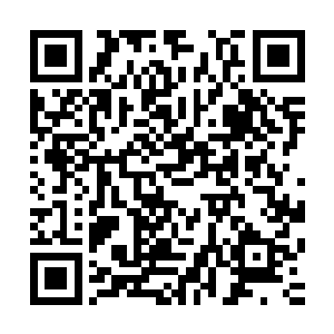 只是单纯的把这个答案归结为她是一个世界级规模旗舰航母的二维码生成