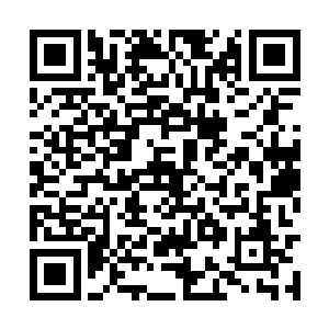 只是卖主坚持要在拍卖会开始之后才把残骸运过来二维码生成