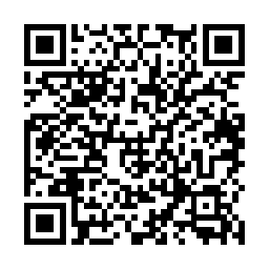 只是却不知道为何鬼使神差地问起了夏云杰将来的打算二维码生成