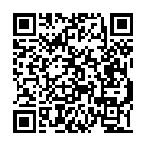 只是原本炼气化神存于丹田中的真气一丝也没有二维码生成