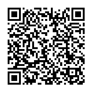 只是去融合了周围的万千昆虫和飞禽所以那时我没有发现青木之气二维码生成
