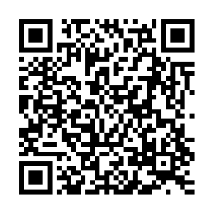只是发觉一只区区的独角仙血脉蛊虫居然也敢于在自己面前放肆二维码生成