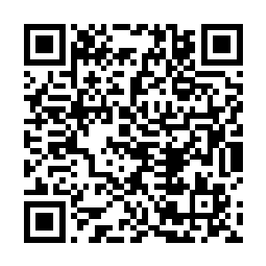 只是叫了一声名字桑怜却觉得没有比这更动听的声音了二维码生成