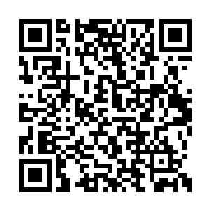 只是可惜了教官并不知道他们会在什么地方动手二维码生成