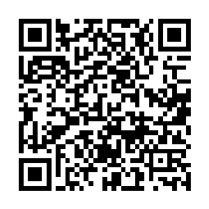 只是可惜法宝的感应器灵孕育中尚未脱胎我便遇此劫难二维码生成