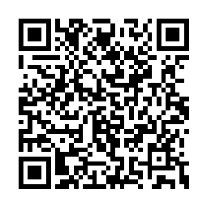 只是可惜看不到王者带着家族重现辉煌的那一天二维码生成