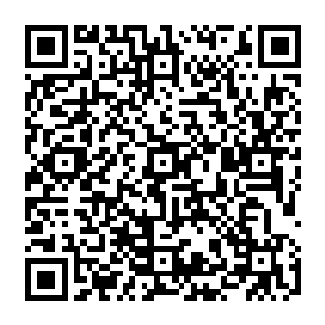 只是叶璃有些好奇这疑是舒曼琳的女子这么针对她到底是因为谭继之还是因为徐清尘二维码生成