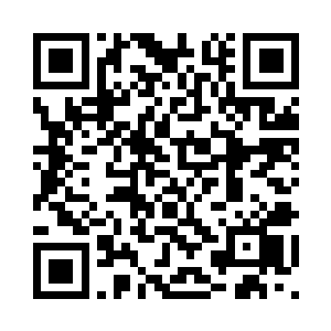 只是叶秋和紫衣这些老板没有开口二维码生成