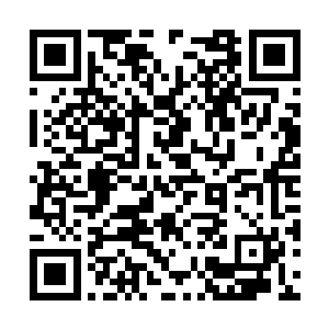 只是后来杨凤栖的公司评估后觉得这个项目太小了二维码生成