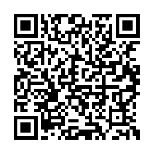 只是吩咐了人召集足够多的侍卫赶往樊笼院护驾二维码生成