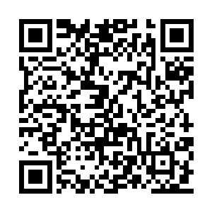 只是嘴唇左侧还有一根小小的犬齿从下方龇出来二维码生成