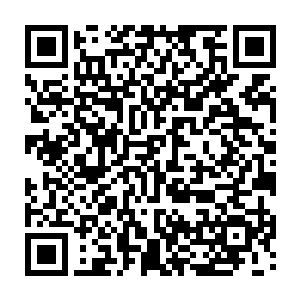 只是因为一粒尘沙之中数千亿蝼蚁之中的其中一对……而损失整个大世界二维码生成