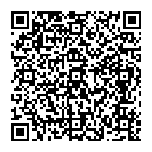 只是因为从苍茫大陆空间内吸收的灵力速度没有许紫烟在紫烟空间内修炼时吸收的灵力速度快二维码生成