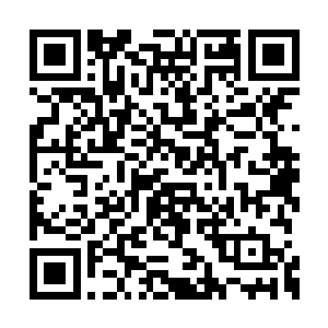 只是因为机缘巧合下小箭尾雕认了战部渡为至亲二维码生成