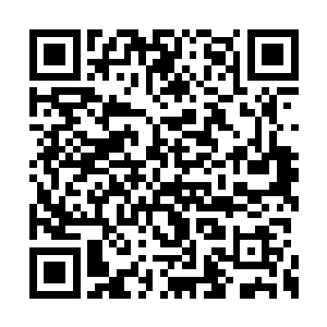 只是在亲眼见证了傀儡一拳击杀二名吸血鬼之后二维码生成