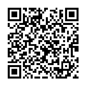 只是在众多晶化巫师的眼睛底部闪过一丝狂喜之色二维码生成