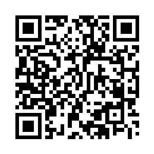 只是在叶洱这朵华贵牡丹的映衬之下二维码生成