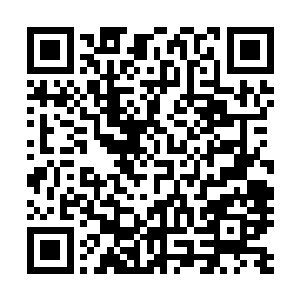 只是在大小势力混杂的西域占有一个不大不小的城池的仙人二维码生成