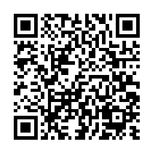 只是在把那些干柴草消耗掉一些以后注意补充一点就行了二维码生成