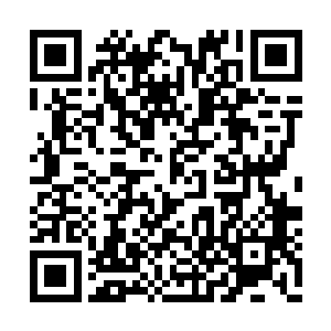 只是在招待所前面的饭馆里吃了一顿当地特色菜二维码生成